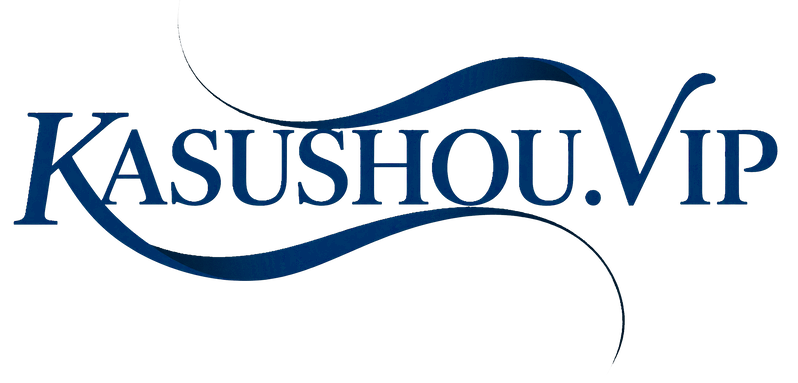 卡速售九星服务版